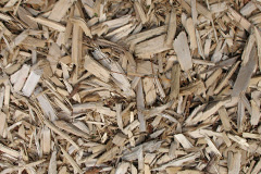 biomass boilers Llangennech